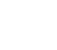 24年卒